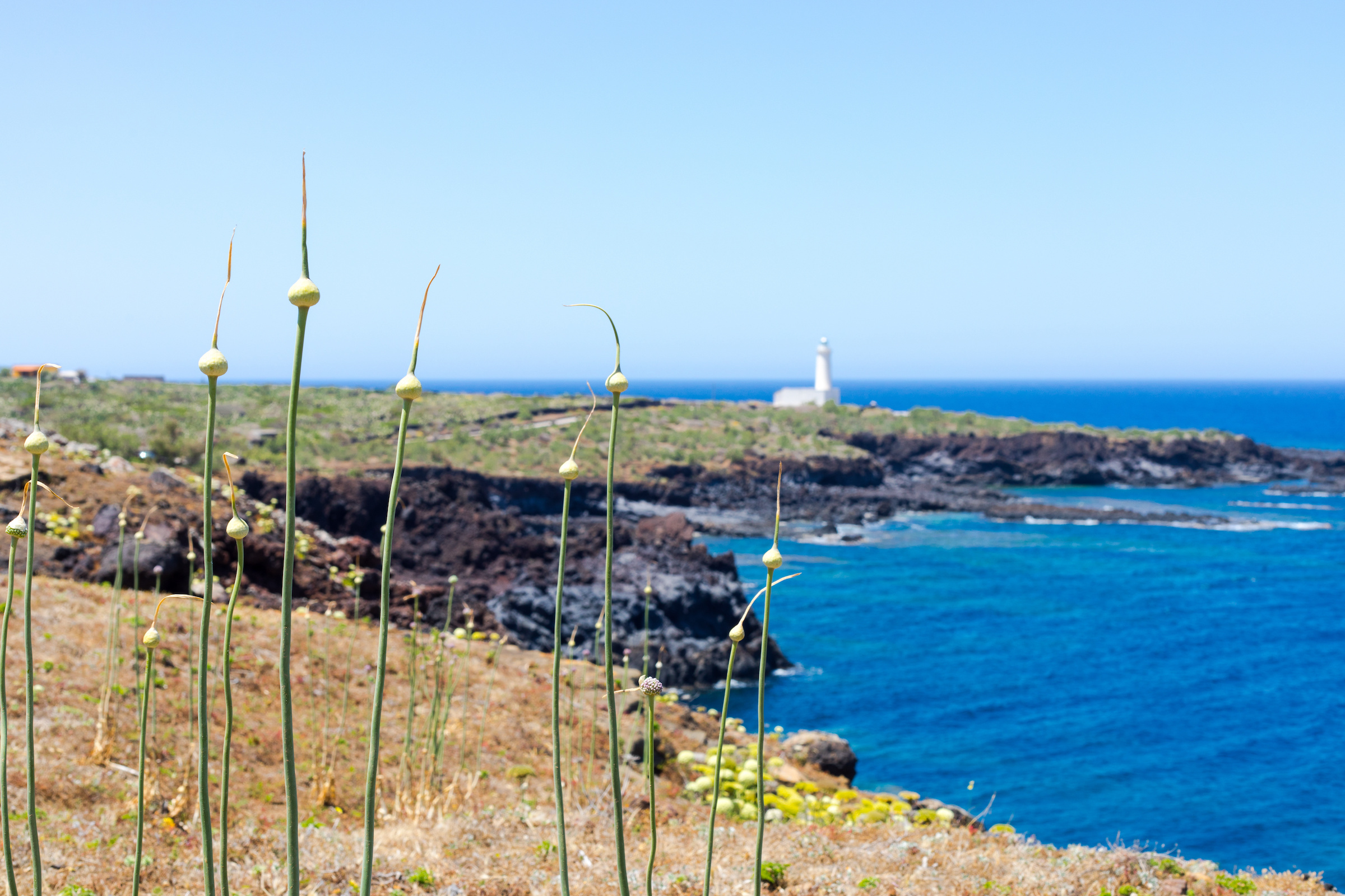 Linosa - Porto Empedocle